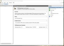 TPM Management Console.jpg