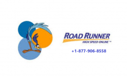 roadrunner 3.png